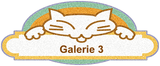 Galerie 3